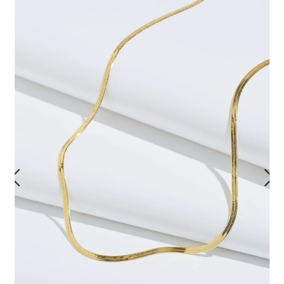 Madewell Delicate Collection Demi Fine Skinny Herringbone Chain- Like new - Picture 1 of 6